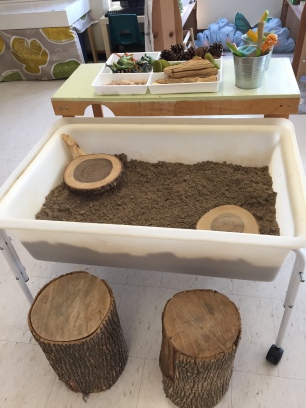 Sand Centre with natural loose parts and dinosaurs.